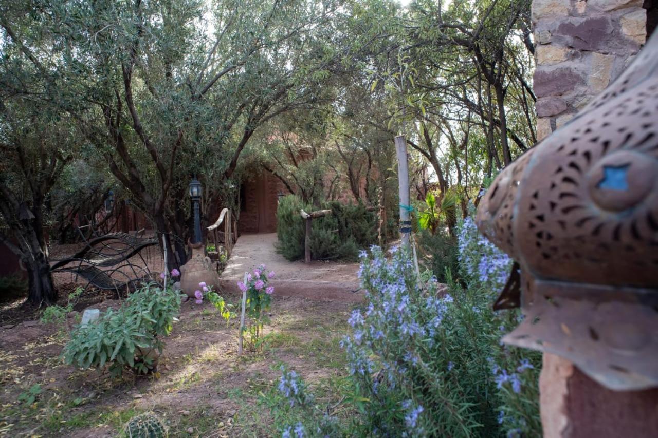 Afoulki Ecotourism Guest House Telouet Chambre photo